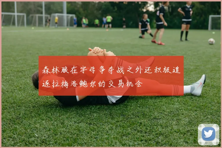 森林狼在字母争夺战之外还积极追逐拉梅洛鲍尔的交易机会
