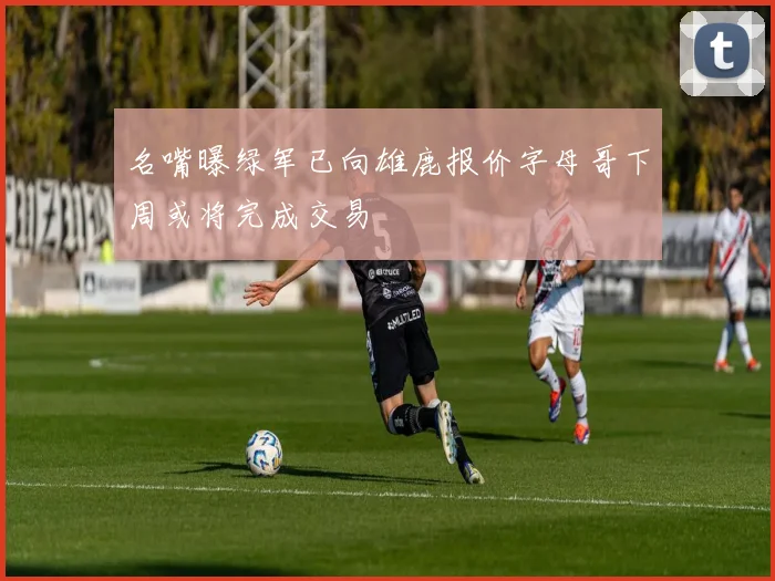 名嘴曝绿军已向雄鹿报价字母哥下周或将完成交易